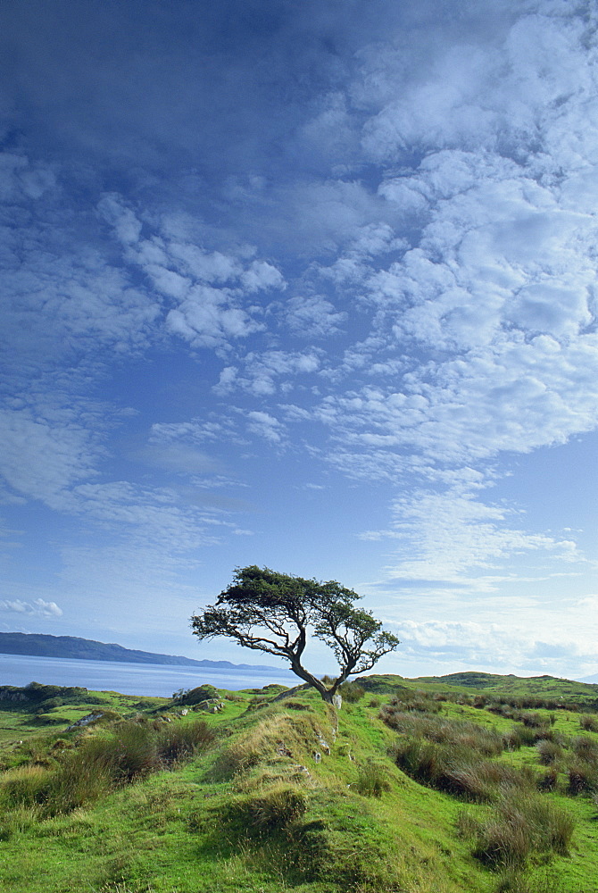 Loch Craignish from Craignish Point, Strathclyde, Scotland, United Kingdom, Europe