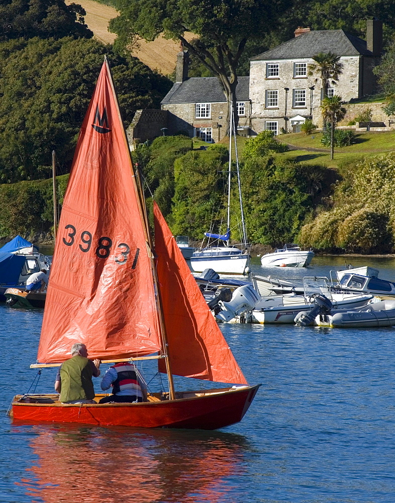 Sailing, Salcombe harbour, South Hams, Devon, England, United Kingdom, Europe