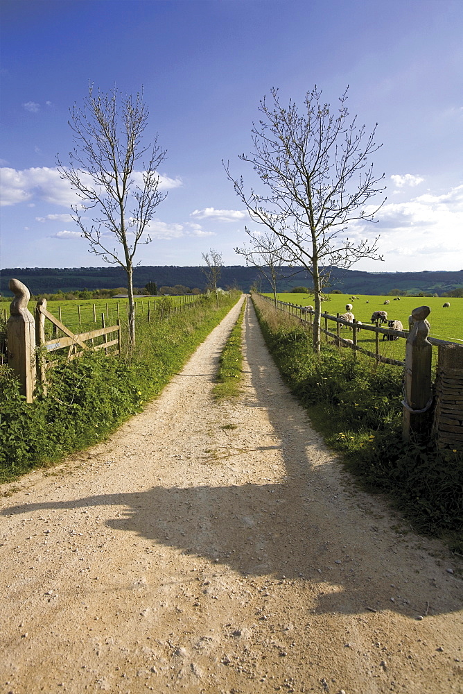 View from the Cotswold Way Footpath, Cotswolds, Gloucestershire, England, United Kingdom, Europe