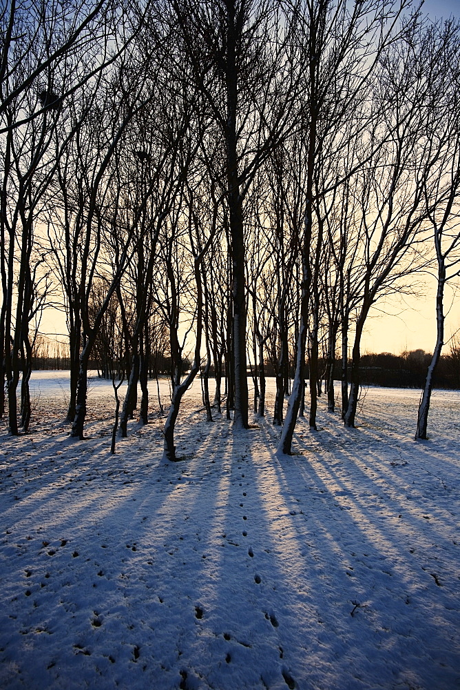 Winter sunrise and snow covered rural landscape in the countryside, Arrow Valley, Worcestershire, England, United Kingdom, Europe