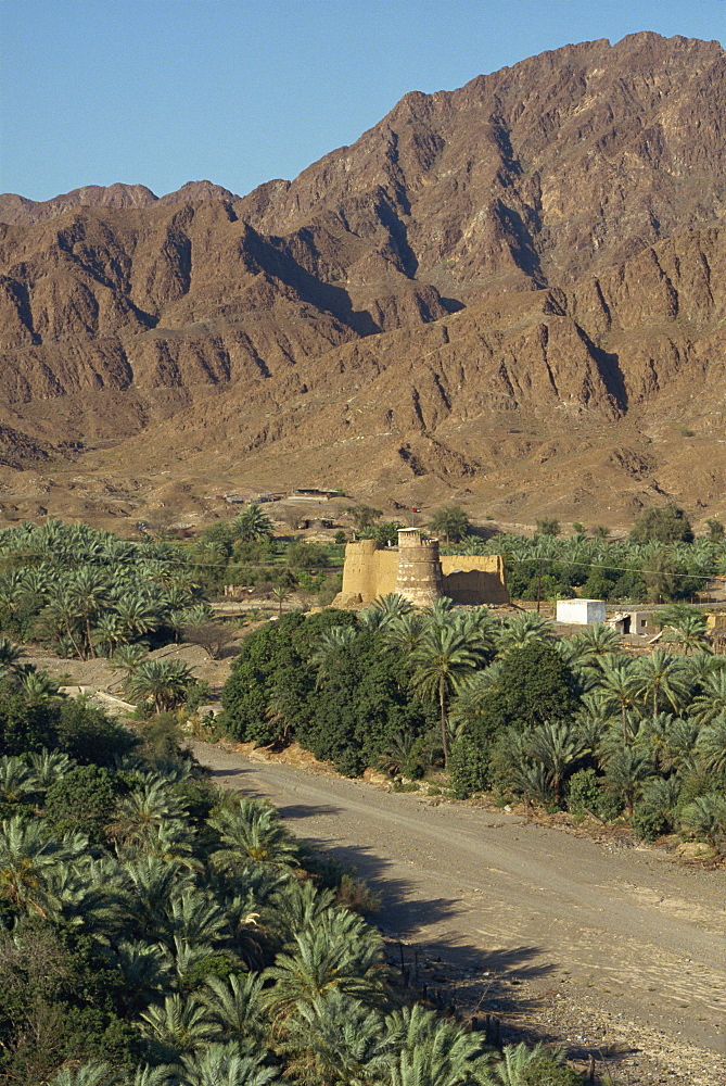 View over the oasis fort of Bithnal, Arabian Mountains, United Arab Emirates, Middle East