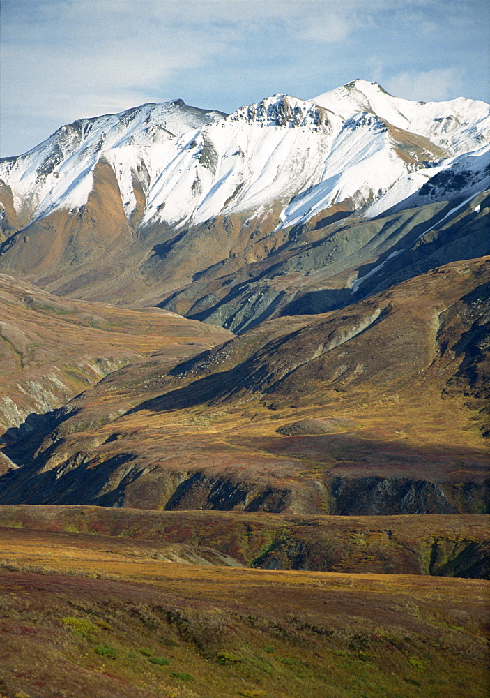 Tundra landscape with snowline in the background on the Alaska Range of mountains, in the Denali National Park, Alaska, United States of America, North America