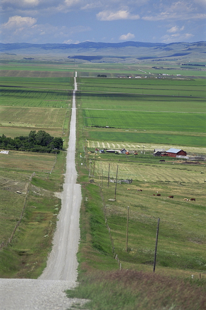 Road across prairie wheatlands, south of Calgary, Alberta, Canada, North America