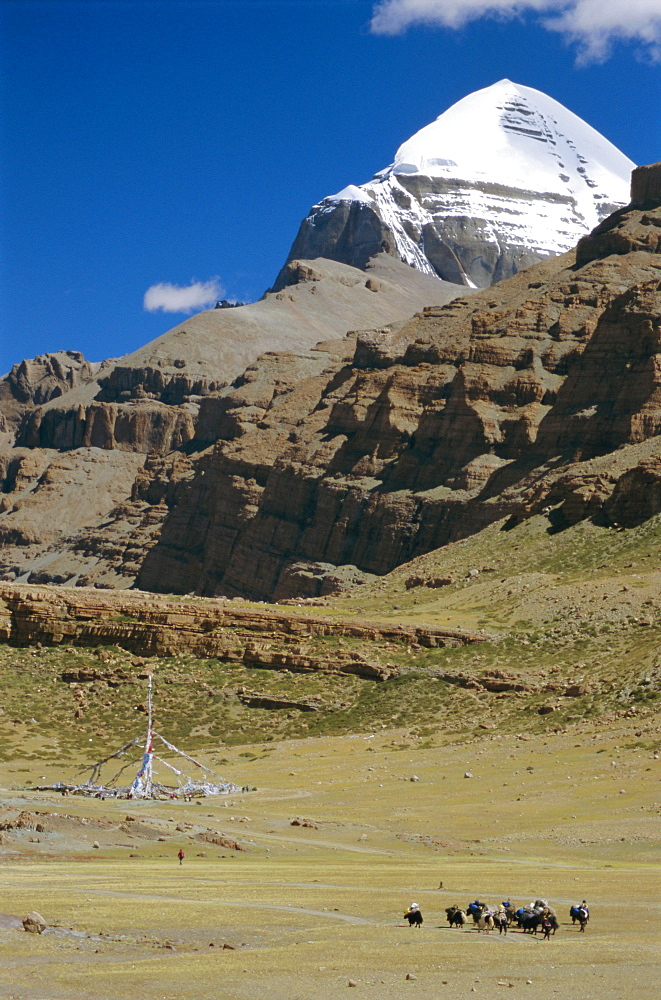 Yak train approaches Tarboche, prayer flag pole in Lha Chu canyon, on the kora round sacred mountain, Mount Kailas (Kailash), Tibet, China, Asia