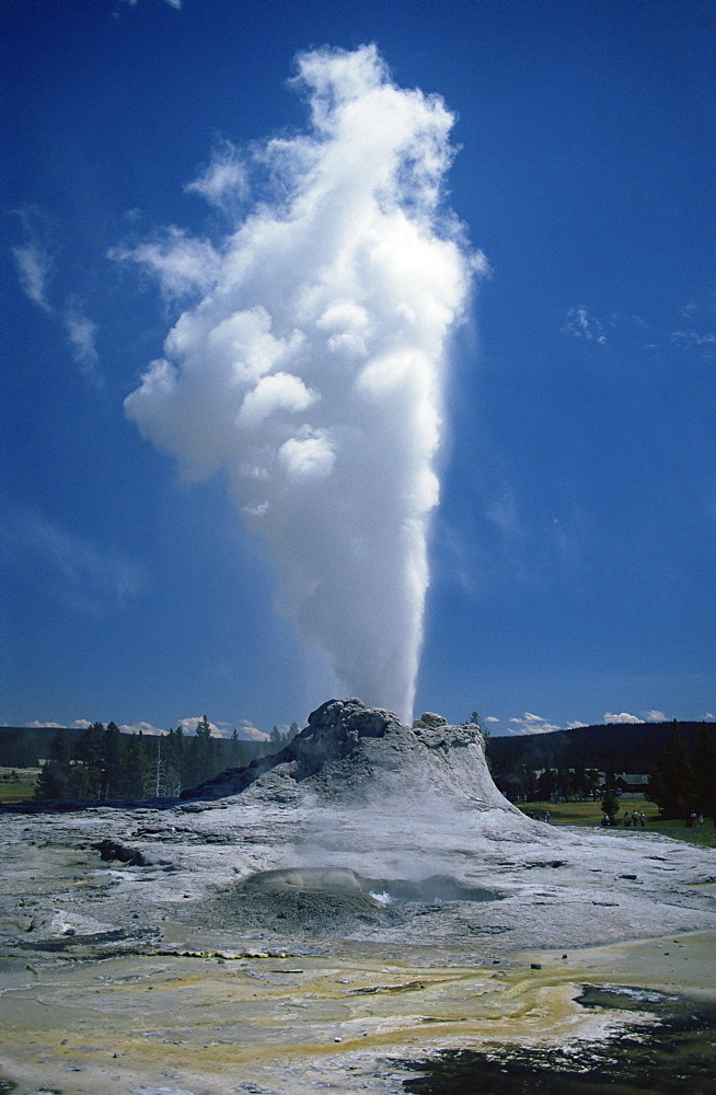 Geyser, Yellowstone National Park, UNESCO World Heritage Site, Wyoming, United States of America, North America