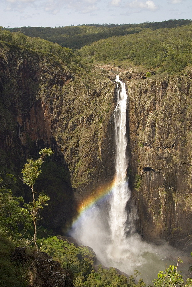 Wallaman Falls 268m drop, the tallest in Australia, Ingham, Queensland, Australia, Pacific