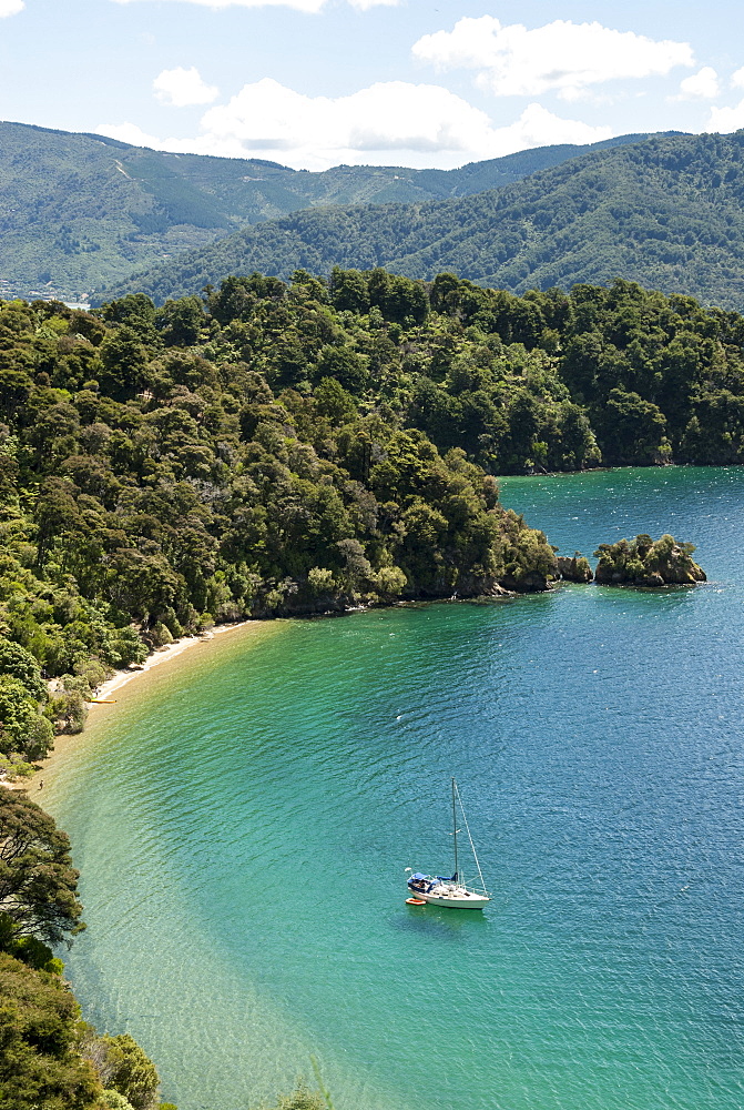 Okiwa Bay, Marlborough Sounds, South Island, New Zealand, Pacific