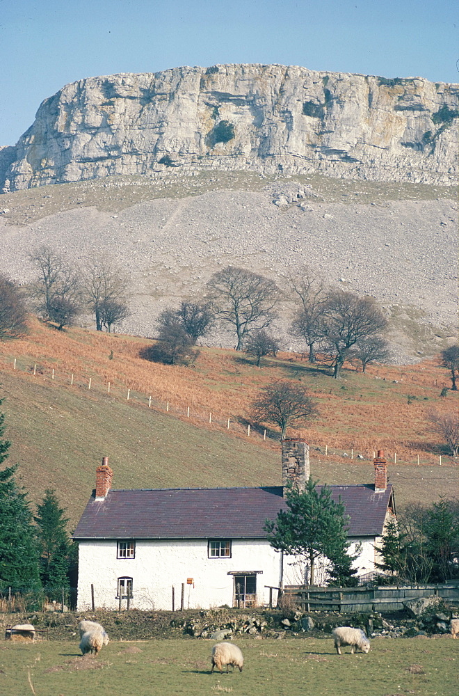 Farmhouse beneath limestone scarp, Glwyseg mountain, Llangollen, Clwyd, Wales, United Kingdom, Europe