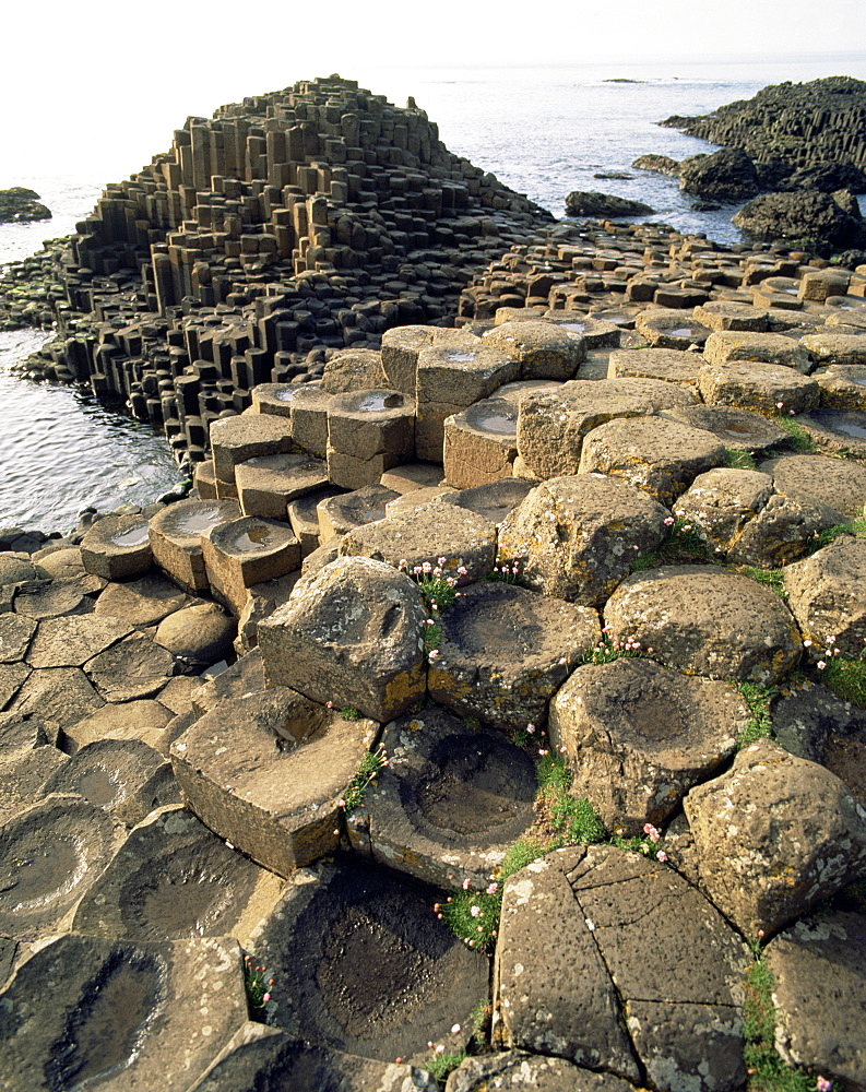 Giants Causeway, UNESCO World Heritage Site, County Antrim, Ulster, Northern Ireland, United Kingdom, Europe