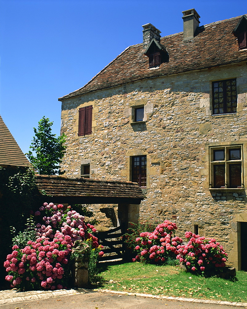 Hydrangeas and fuscia in front of one of the houses in the medieval village of Loubressac, in Lot, Midi Pyrenees, France, Europe