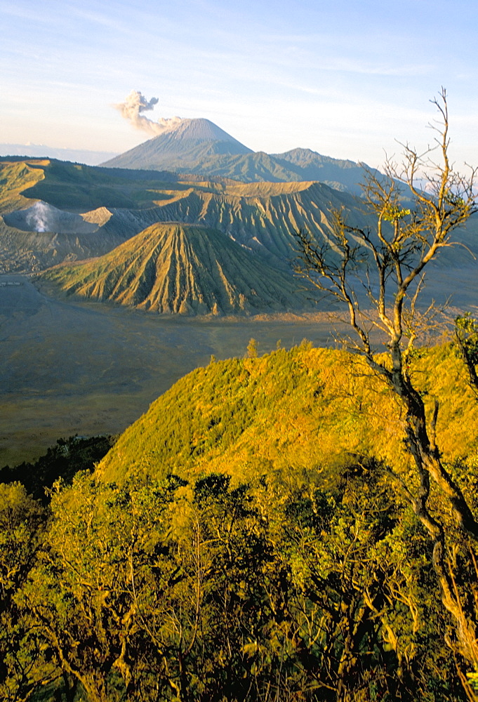 Bromo-Tengger-Semeru National Park at dawn, island of Java, Indonesia, Southeast Asia, Asia