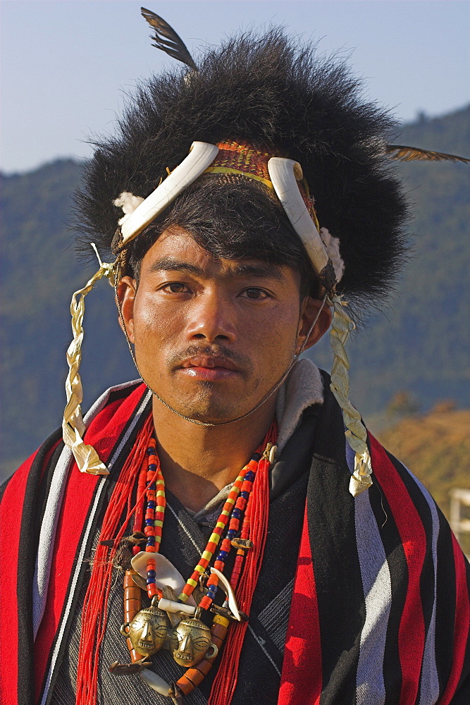 Naga man wearing headdress made of woven cane decorated with wild boar teeth and bear fur, also wearing heirloom head-hunting necklace with two brass heads indicating the owner had 'taken' two heads, Naga New Year Festival, Lahe village, Sagaing Division, Myanmar (Burma), Asia