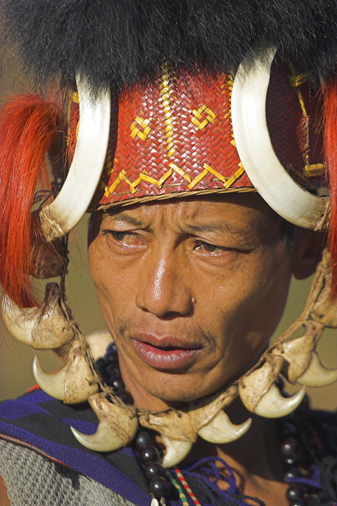 Naga man wearing headdress made of woven cane decorated with wild boar teeth, bear fur, red dyed goats hair with strap of tiger claws, Lahe village, Naga New Year Festival, Sagaing Division, Myanmar (Burma), Asia