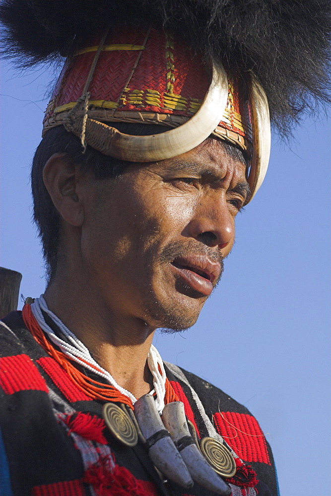 Naga man wearing headdress made of woven cane decorated with wild boar teeth and  bear fur with Tiger claw straps and  wearing tiger teeth necklace, Naga New Year Festival, Lahe village, Sagaing Division, Myanmar (Burma), Asia