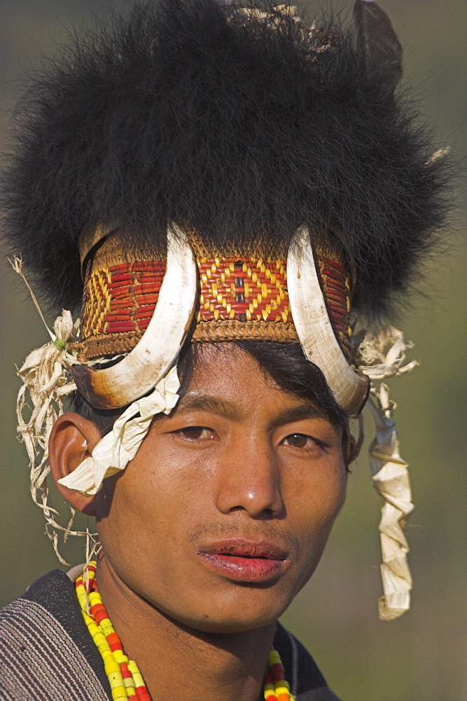 Naga man wearing headdress made of woven cane decorated with wild boar teeth and bear fur, Naga New Year Festival, Lahe village, Sagaing Division, Myanmar (Burma), Asia