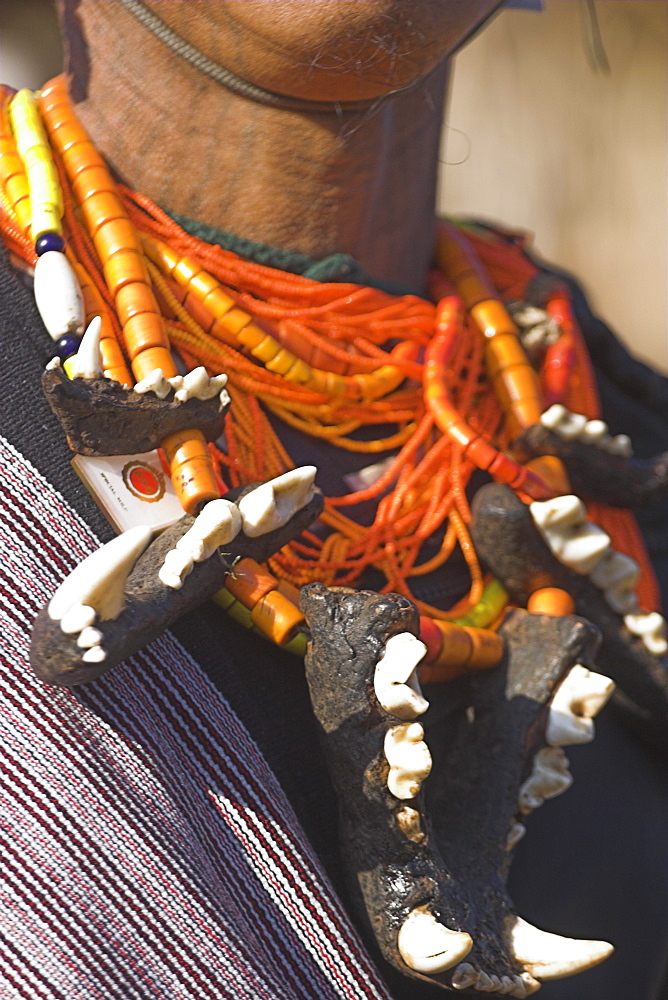 Naga man wearing tiger jaw necklace, Naga New Year Festival, Lahe village, Sagaing Division, Myanmar (Burma), Asia