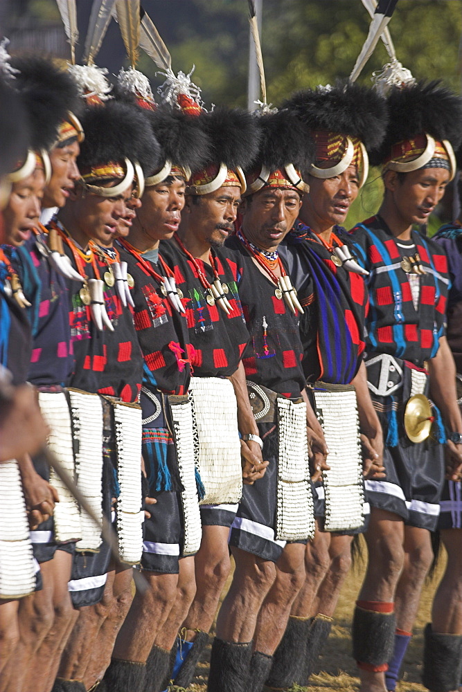 Naga tribal groups lined up in traditional clothes waiting for the arrival of the General, wearing headdress made of woven cane decorated with wildboar teeth, bear fur and topped with hornbill feather, with bear teeth necklaces, also wearing aprons decorated with cowrie shells, Naga New Year Festival, Lahe village, Sagaing Division, Myanmar (Burma), Asia