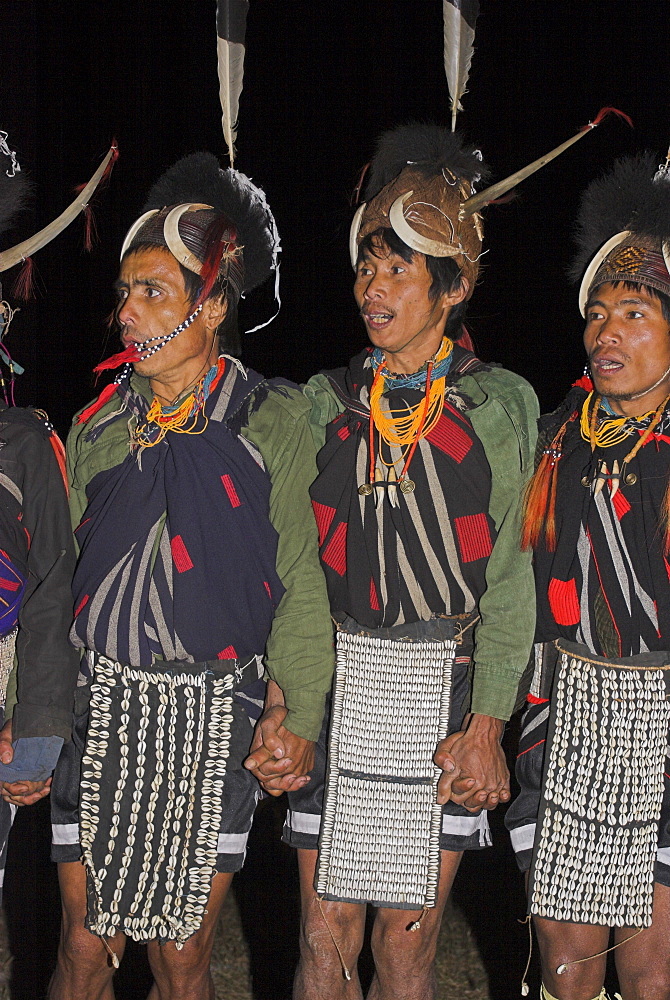 Naga men dancing at Grand Finale wearing headdress made of woven cane decorated with wild boar teeth, Mithan horns (wild cow) and bear fur topped with hornbill feather with tiger teeth necklaces and cowrie shell aprons, Lahe village, Naga New Year Festival, Sagaing Division, Myanmar (Burma), Asia