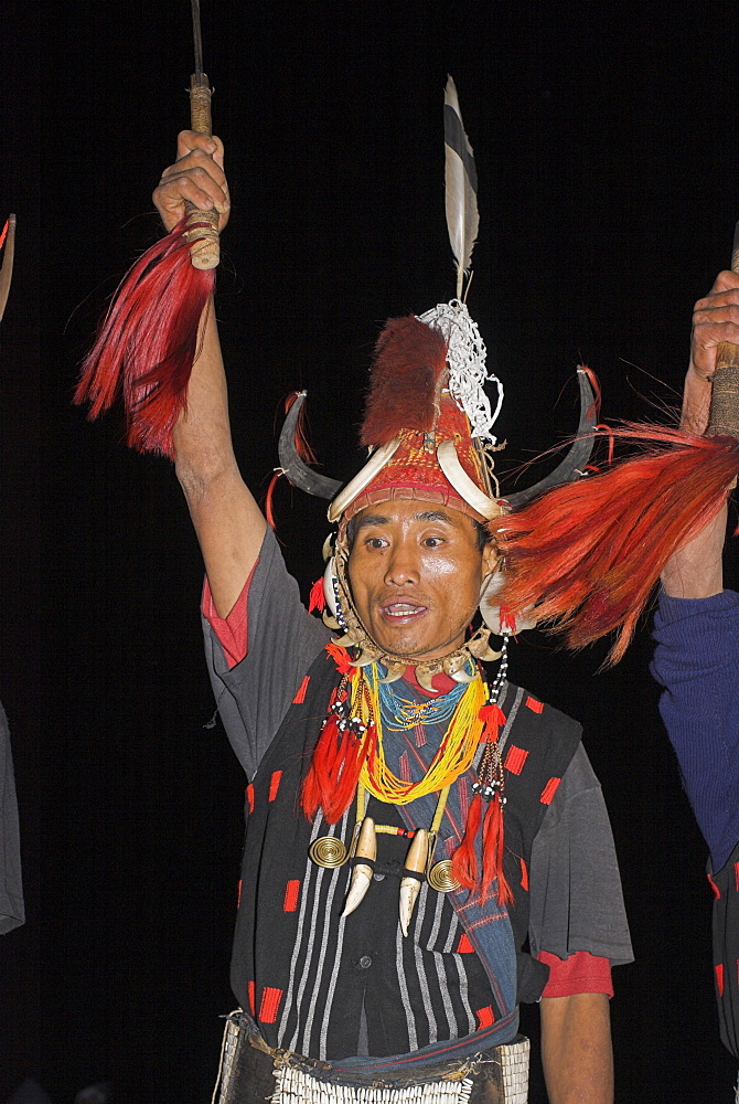 Naga man dancing at Grand Finale wearing headdress of woven cane decorated with wild boar teeth, bear fur, topped with hornbill feather, and tiger claw neckstrap, also tiger teeth necklace and conch shell ear ornament, Naga New Year Festival, Lahe village, Sagaing Division, Myanmar (Burma), Asia