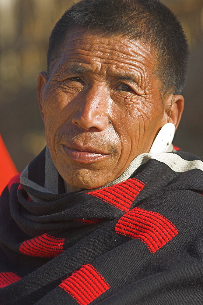 Naga man wearing traditional blanket and conch shell ear ornament, Naga New Year Festival, Lahe village, Sagaing Division, Myanmar (Burma), Asia