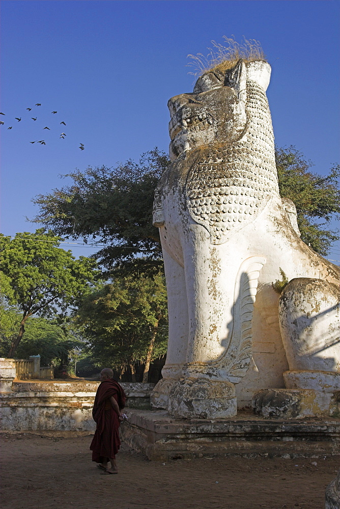 Between the villages of Nyaung U and Wetkyi-in, Buddhist monk standing by stone lion standing at rear entrance to Shwezigon Paya, first built by King Anawrahta and completed by King Kyansittha in 1087, Bagan (Pagan), Myanmar (Burma), Asia