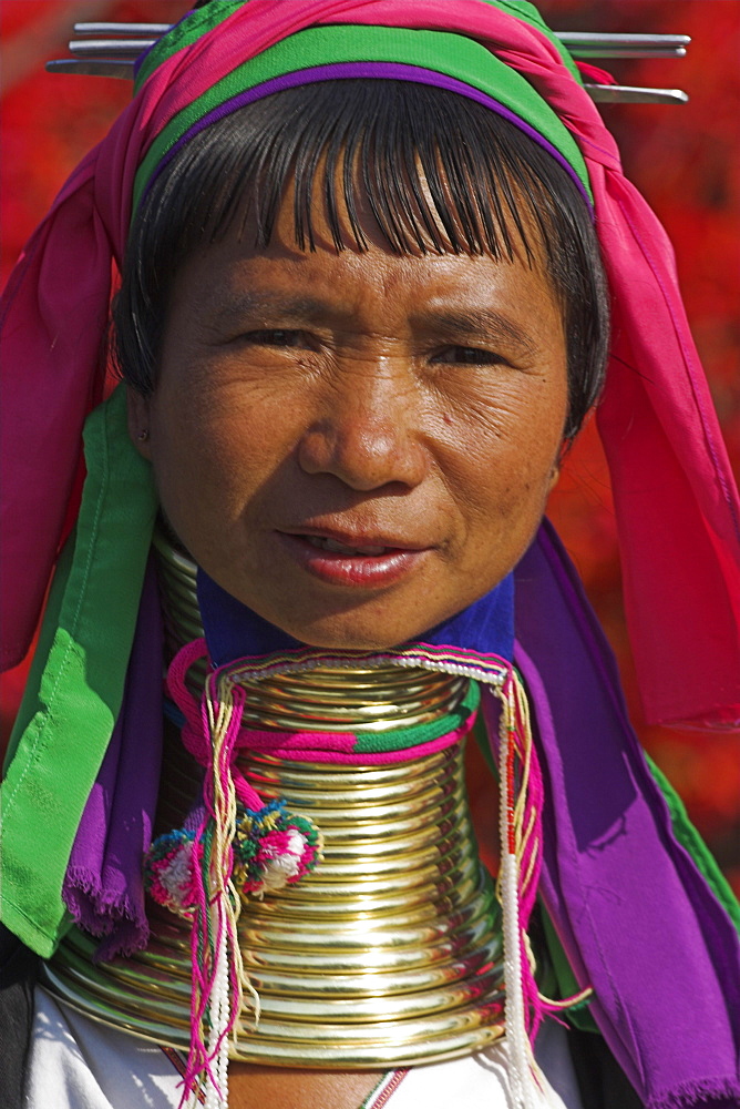 Padaung lady (Long-Necked Karen), Shan State, Myanmar (Burma), Asia