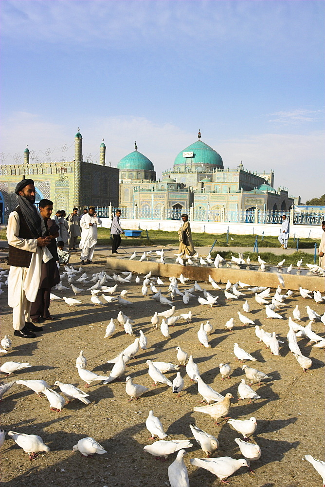 People feeding the famous white pigeons, Shrine of Hazrat Ali, Mazar-I-Sharif, Balkh province, Afghanistan, Asia