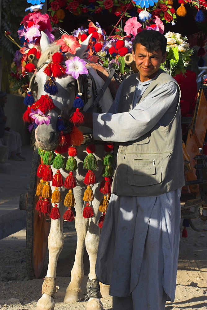 Driver with his colourful horse cart, Maimana, Faryab Province, Afghanistan, Asia