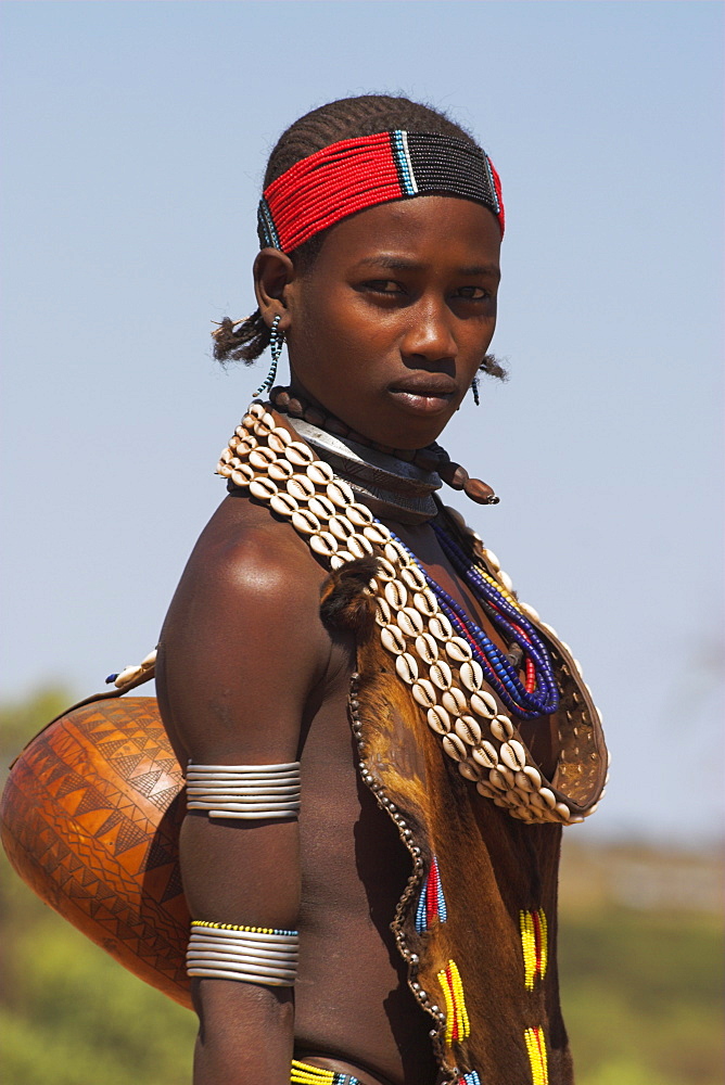 Hamer lady wearing traditional goat skin dress decorated with cowie shells, carrying kalash on her way to market, Dombo village, Turmi, Lower Omo valley, Ethiopia, Africa