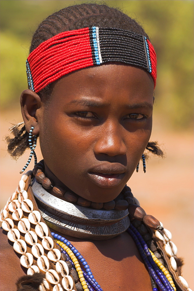 Hamer lady wearing traditional goat skin dress decorated with cowie shells, Dombo village, Turmi, Lower Omo valley, Ethiopia, Africa