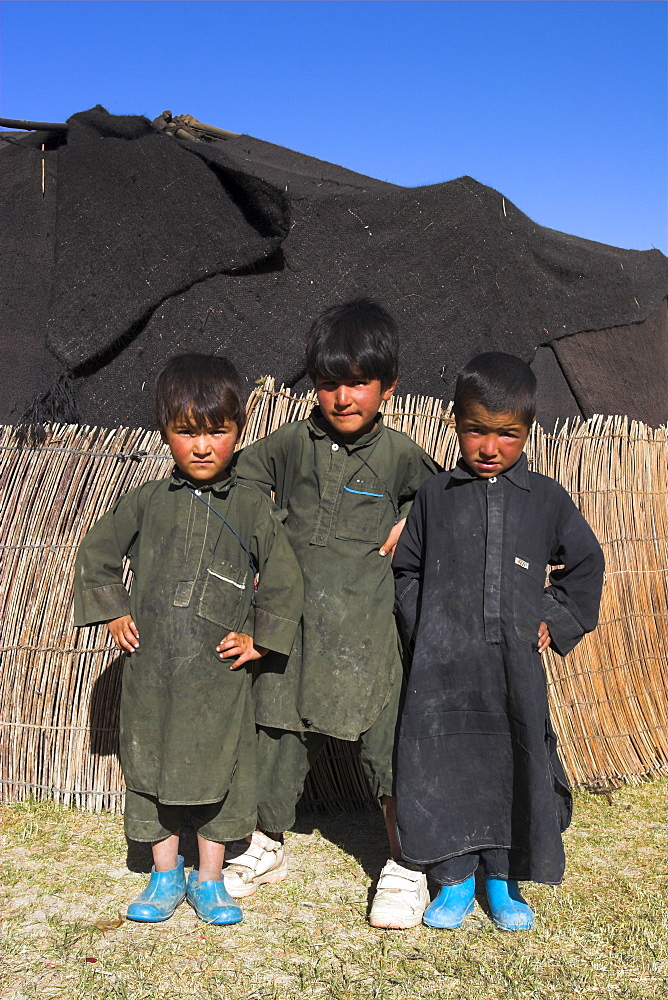 Aimaq boys in front of yurt, Aimaq nomad camp, between Chakhcharan and Jam, Pal-Kotal-i-Guk, Afghanistan, Asia