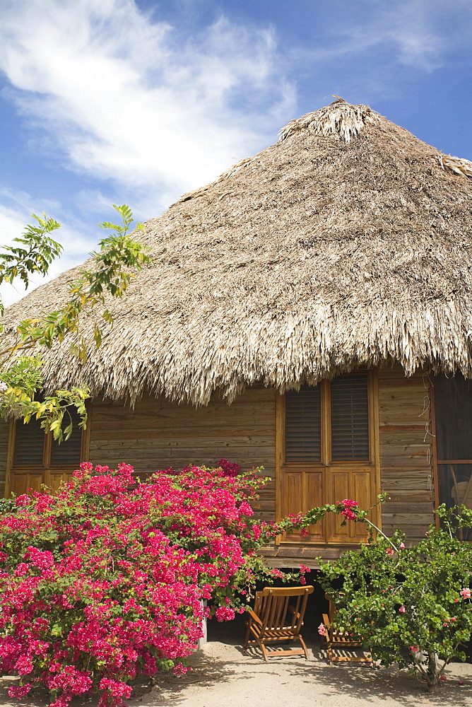 Thatched cottage at The Turtle Inn, Francis Ford-Cappola's beach front hotel, Placencia, Belize, Central America