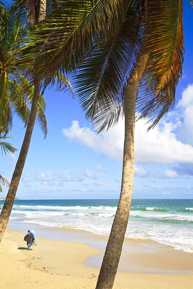 Playa El Agua, Isla De Margarita (Margarita Island), Nueva Esparta, Venezuela, South America