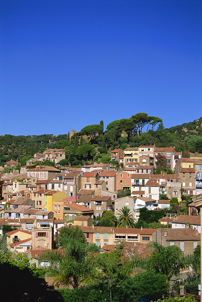 Bormes les Mimosas, Provence, France, Europe