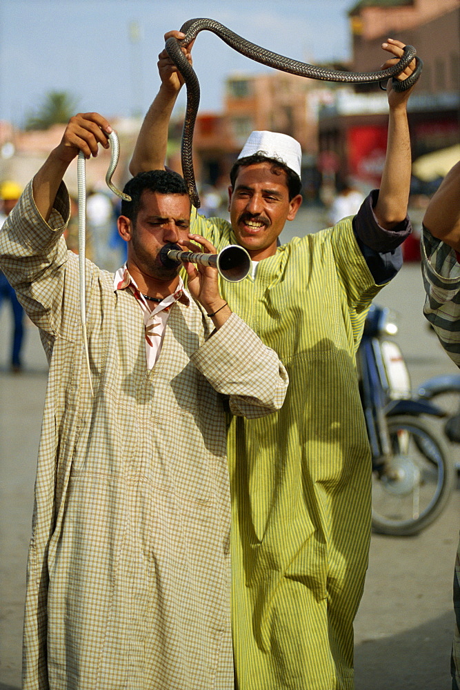 Snake charmers, Djemaa el Fna, Marrakech, Morocco, North Africa, Africa