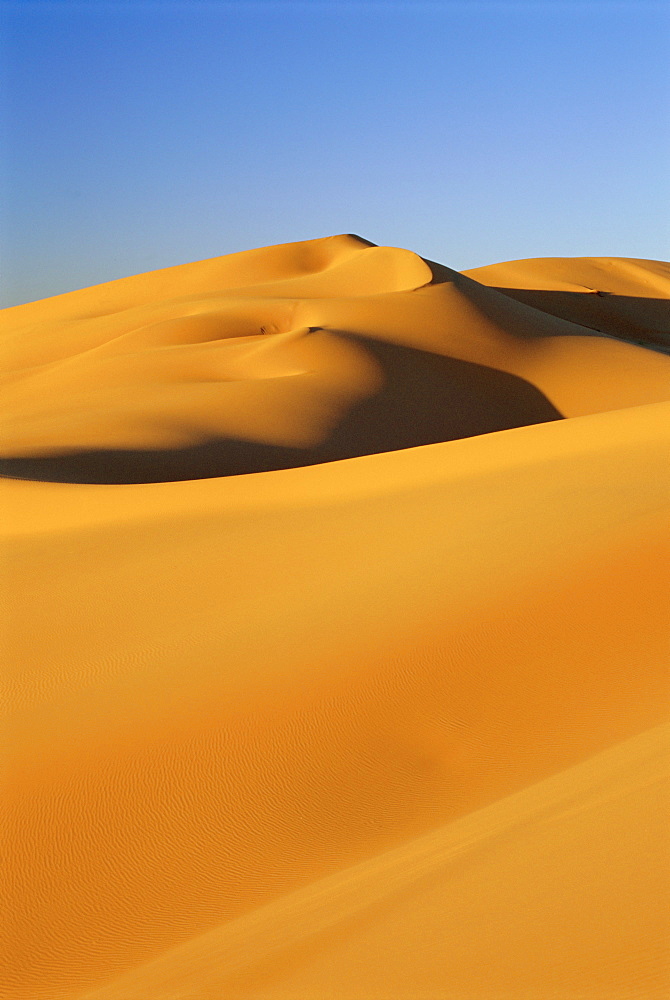 Sand dunes of the Erg Chebbi, Sahara Desert near Merzouga, Morocco, North Africa, Africa