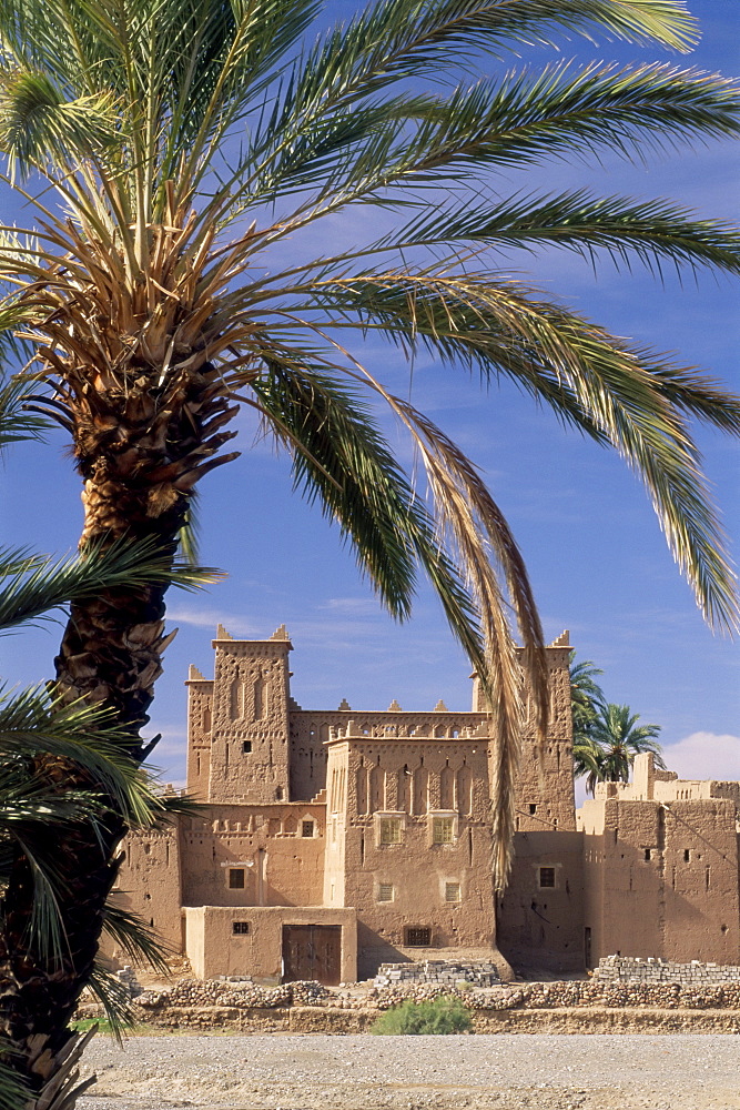 Kasbah Amridi, framed by palm fronds, Dades Valley near Skoura, Morocco, North Africa, Africa