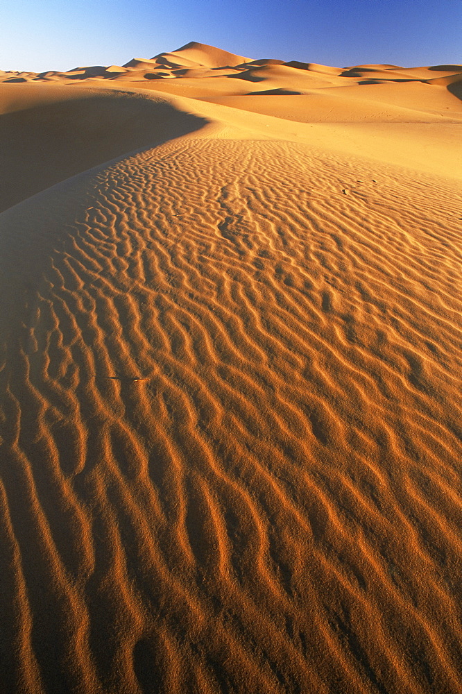 Sand dunes in Erg Chebbi sand sea, Sahara Desert, near Merzouga, Morocco, North Africa, Africa