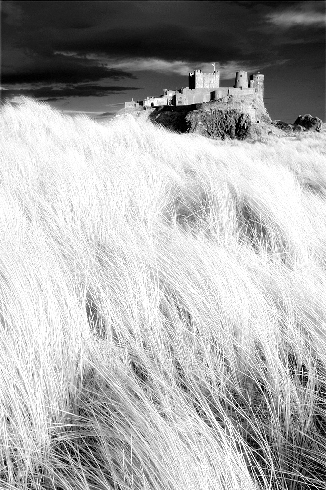 Infrared image of Bamburgh Castle from the dunes above Bamburgh Beach, Northumberland, England, United Kingdom, Europe