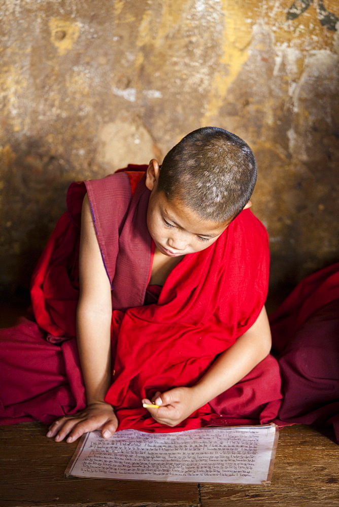 Young Buddhist monk studying scripts in class at Chimi Lhakhang Temple, Punakha Valley, Bhutan, Asia