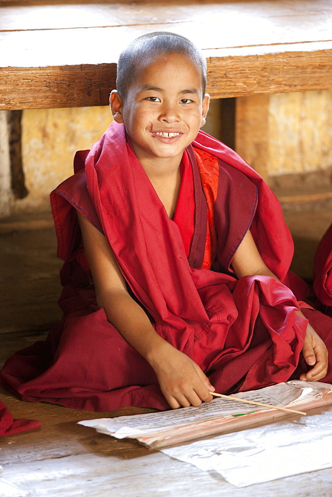 Young Buddhist monk studying scripts in class at Chimi Lhakhang Temple, Punakha Valley, Bhutan, Asia