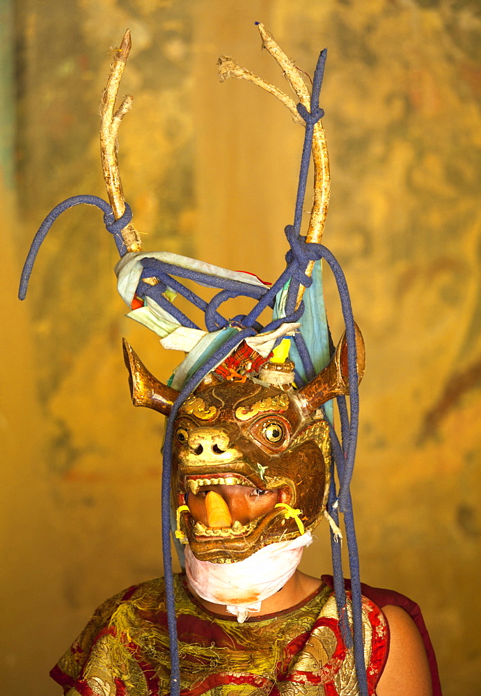 Buddhist monk in his colourful costume and Antelope mask waiting for the next dance during Gangtey Tsechu at Gangte Goemba, Gangte, Phobjikha Valley, Bhutan, Asia