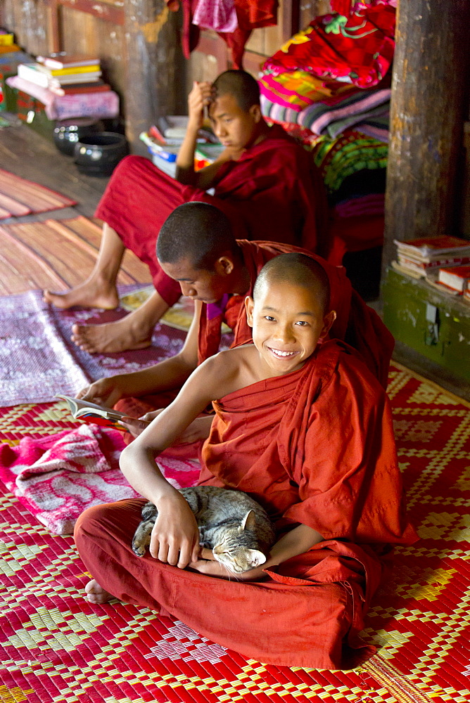 Novice Buddhist monk playing with a cat at Shwe Yaunghwe Kyaung, a famous teak monastery, Nyaungshwe, Inle Lake, Shan State, Myanmar (Burma), Asia