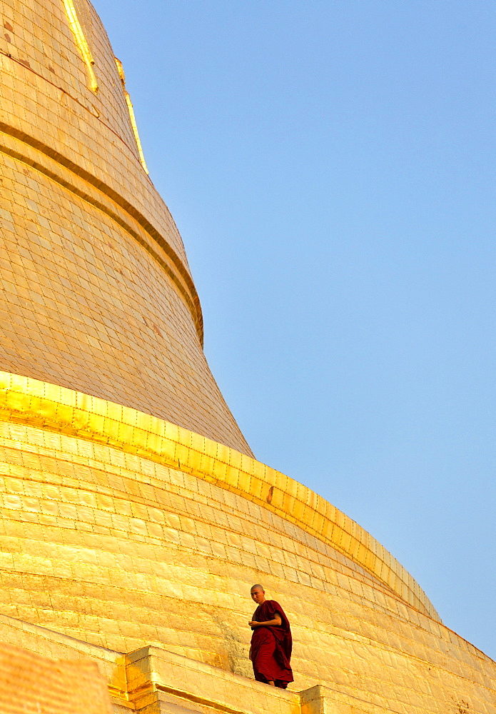 Buddhist monk walking around the gilded dome of Shwedagon Paya (Pagoda) at dusk, Yangon (Rangoon), Myanmar (Burma), Asia