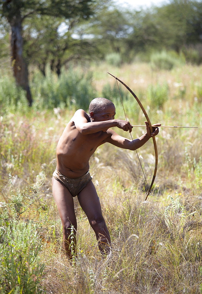 San (Bushman) demonstrating traditional hunting technique with bow and arrow at the Okahandja Cultural Village, near Okahandja town, Namibia