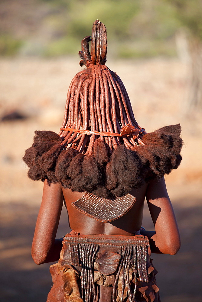 Rear view of young Himba woman showing traditional leather clothing and jewellery, hair braiding and skin covered in Otjize, a mixture of butterfat and ochre, Kunene Region (formerly Kaokoland) in the far north of Namibia