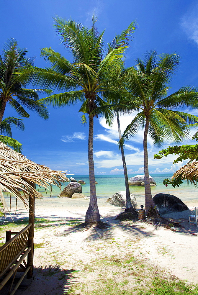 Palm trees and Lamai Beach, Koh Samui, Thailand, Southeast Asia, Asia