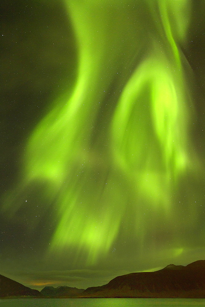 Aurora Borealis (Northern Lights), Grundafjordur, Snaefellsnes Peninsula, Iceland, Polar Regions