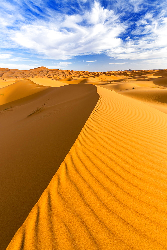 Wide angle view of the ripples and dunes of the Erg Chebbi Sand sea, part of the Sahara Desert near Merzouga, Morocco, North Africa, Africa