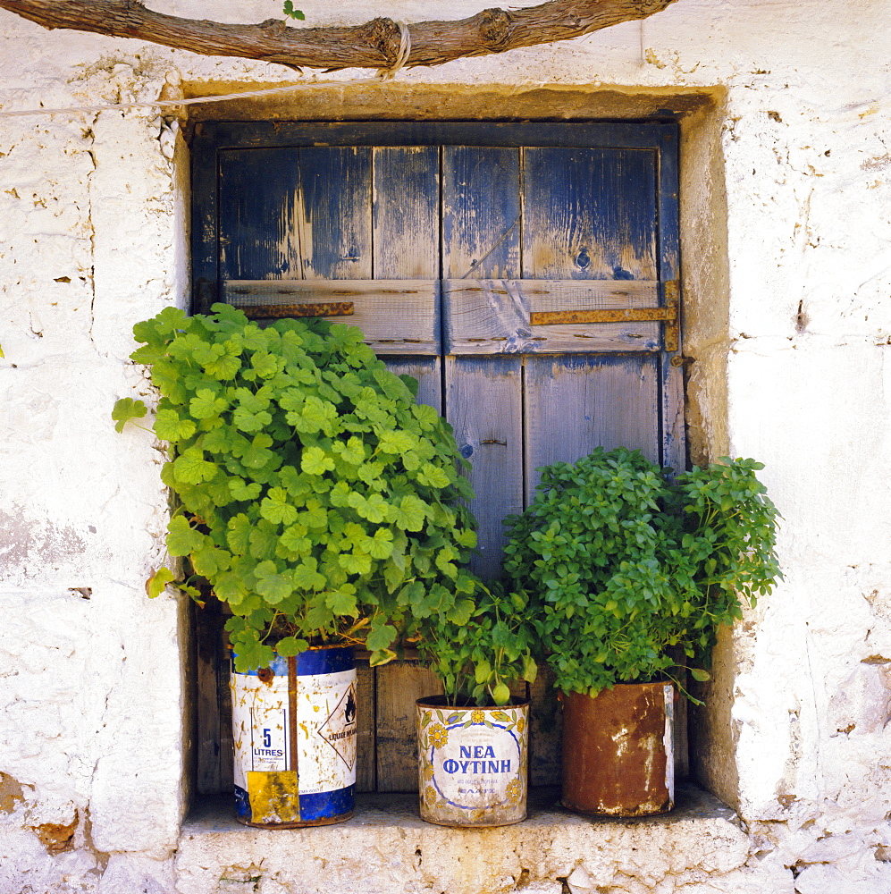 Windowsill, Paleohora, Crete, Greece, Europe